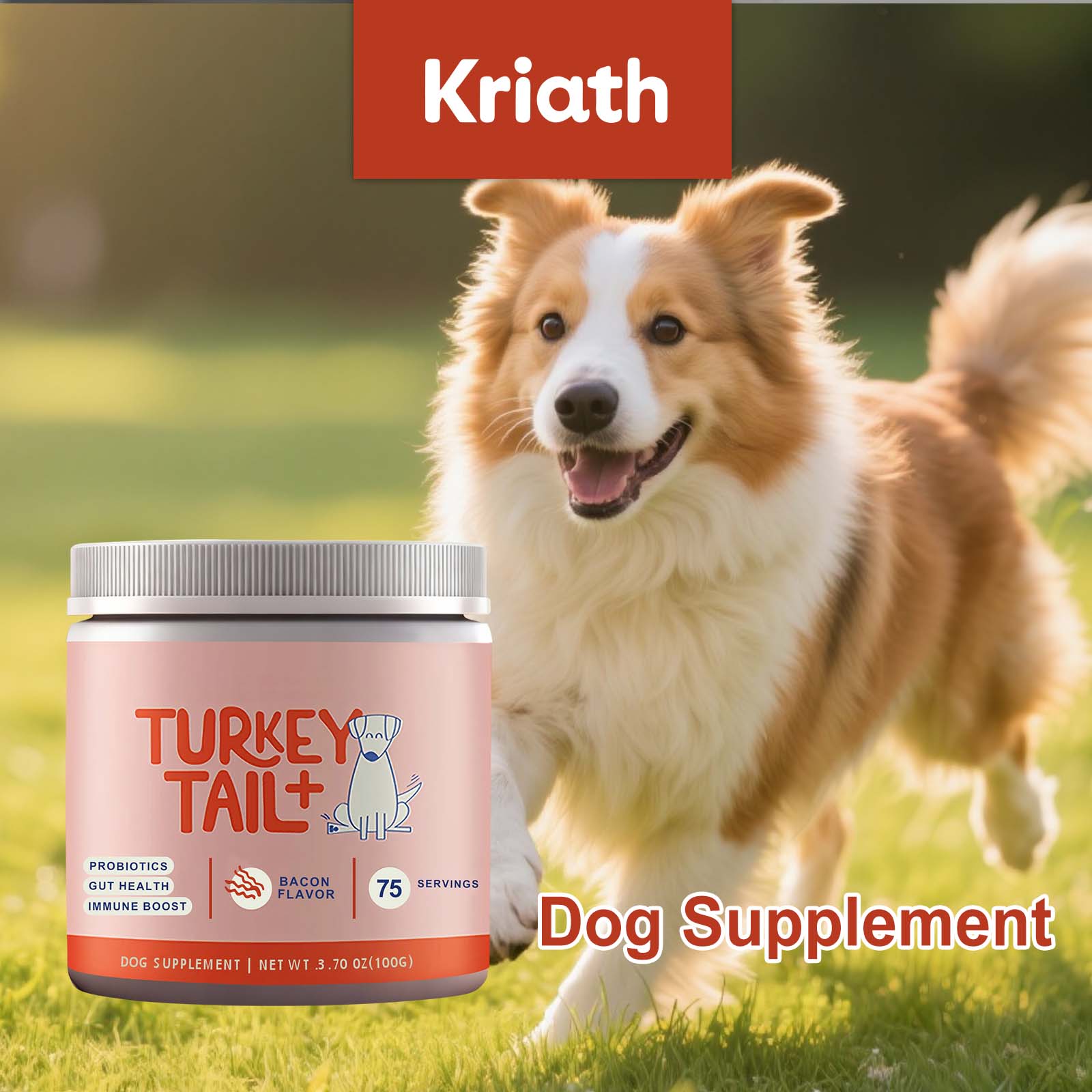 โปรไบโอติกสำหรับสุนัขชนิดผง บำ - Health Wellness Vitality บทวิจารณ์และราคา