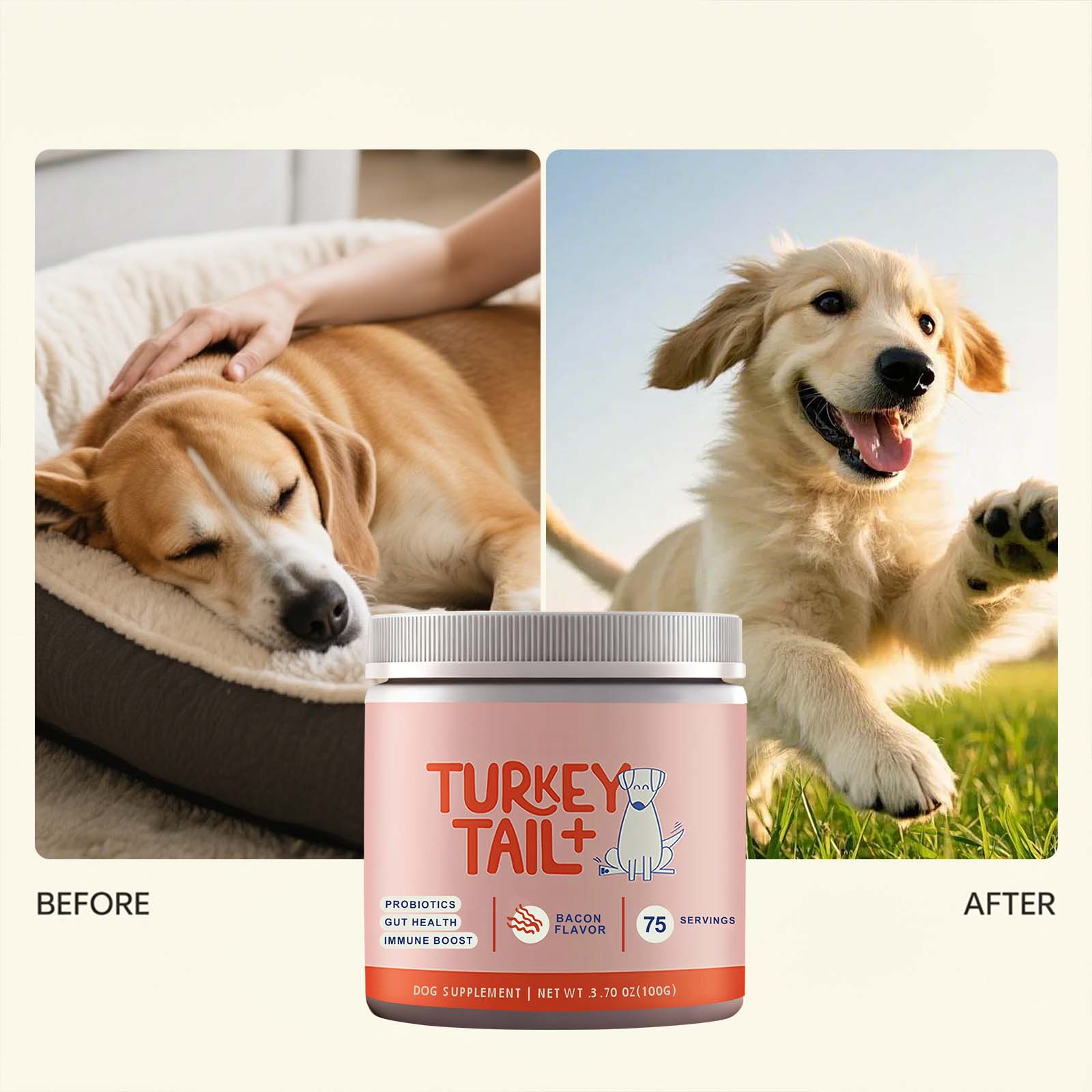โปรไบโอติกสำหรับสุนัขชนิดผง บำ - Health Wellness Vitality บทวิจารณ์และราคา